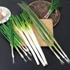 Decorative Flowers Realistic Artificial Green Onion Fake Scallions For Shop Window Decor Vegetable