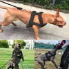 Sprzęt Pies Waga Więć i smyczy miękkie psy wyściełane uprzęże zaprzęgów z trwałą liną ołowiową Pitbull Big Digs Training