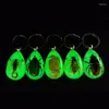 Sleutelhangers Lichtgevende Amber Insect Sleutelhanger Zwarte Schorpioen Hars Sleutelhanger Glow In The Dark Hangers Met Monster Binnenin