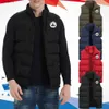 Mens outono e inverno moda jott casual impressão sem mangas jaqueta homem quente à prova de vento streetwear veste homme 211022