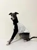 Sweaters Italian Greyhound High Collar Clothes Printed Stitching Cotton Dog Long Sleeve Whippet Dog Clothes Autumn