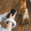 Smyczki Pet Pies Kołnierz LED Smyczana smycz dla psów z ulepszoną taśmą 3M Automatyczna elastyczna smycz dla psów Szczenięta Koty Bezpieczeństwo nocne