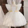 Fancy 12m Baby Ceiru Suknia Tutu Dziewczyna Bow 1st Birthday Princess Dress Sukienka Kostium kwiatowy na wesele ubrania 240301