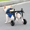 Sprzęt wózek inwalidzki dla kota niepełnosprawny duże szczeniaki Hindus Cart Pet Cat Cat Dog General Rehabilitation Auxiliary Ćwiczenie