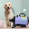 Dryer Dogs Hair Dryer Cat Grooming Water Blower Motor Warm Wind Adjustable BlowDryer Professional Warm Wind Secador Hot Wind Heater