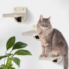 Arranhadores 4 peças montado na parede gato escalando prateleiras conjunto plataforma de madeira canto da parede com gato pequena plataforma de salto kitty jogando