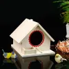 Nids bois oiseaux nichoir nouveau bricolage petit jardin extérieur perroquet calopsitte hirondelles nid en bois maison d'oiseau