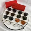 レイボンサングラス、CNEW Men's Artier Sunglasses、ファッショナブルでトレンディなカジュアルサングラス、サングラス付きのホリデー旅行