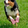 Vestuário para cães 4 pcs mulheres deslizamento em tênis sapatos para animais de estimação botas curtas sandália rosa suprimentos femininos