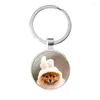 Klasyna Pomeranian Dogs Dog Glass Cabochon Biecian Sait Sait Charms Prezenty