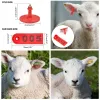 Applicateur de marqueur d'étiquette d'oreille de bétail de calligraphie 001100, Kit d'identification d'étiquettes d'oreille pour mouton, chèvre et cochon avec 2 épingles, pinces pour étiquettes d'oreille