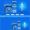 Analysator Ny version Health Quantum Analyzer med testrapport Kvantmagnetisk resonans Estetisk hud Body Analyzer Testerutrustning