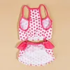 Hundkläder Summer Pet Outfit Puppy Baddräkt Färgglad polka Dot Set för små hundar Bekväma strandkläder Katter