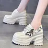 Robe chaussures talons hauts femmes mocassins plate-forme chunky 2024 designer printemps lacets mode marche mujer pompes zapatos