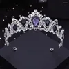 Hair Clips Silver Colors Purple Crystal Wedding Crown For Queen Bridal Headdress Fashion Tiaras Hairwear Girls Prom Head Ornaments Jewelry