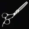 Nożyczki niszczy najnowszy styl 6 -calowy fryzjerski sarźnik do fryzjerskich fryzjer fryzjer senior 440c stalowa rączka rączka stalowa 240302