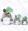 2024 20cm Cartoon Movie Soft TOTORO Plush Toy Cute Stuffed Lotus Leaf Totoro Kids Doll Toys For Fans