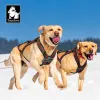 Harnassen Truelove Harnas voor huisdieren Hondensledegordels Hondengewicht Harnas trekken Snelheidstraining Trainen Skijoring Oefening Bikejoring TLH6271