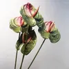 Fiori decorativi Moda Fiore artificiale Simulazione leggera Anthurium Puntelli Pografia non sbiaditi Decorazione ornamentale con foglie finte