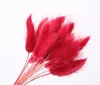 50st/Lot Natural Gradient Torked Flowers Bridal Bouquet Easter Home Decorations Rabbit Tail Grass Easter Decorations 2024303