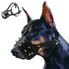 muzzles جلود الكلب كمامة للكلاب الكبيرة المتوسطة بيتبول قابلة للتعديل قابلة للضبط مضاد للبطانة