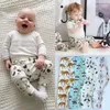 14 Farben Ins Baby Jungen Mädchen lange Hosen Haren Hosen PP Hosen Kinder Leggings Hosen Kinder Kleidung Kleidung6766414