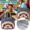 Dinnerware Lunch Bag Picnic Thermal Bento Insulation Women Lunchbox Adult