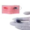 Instrumentos oftálmicos facoemulsificação micromanipulação modelo globo ocular prática recursos de ensino médico estudando modelo ferramenta oftálmica