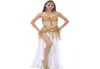 Performance 2018 Belly Dancing Clothing Oriental Dance Outfit Set Bh Belt Split kjol Kvinnor Belly Dance Costume 3PCS8919048