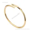 designer sieraden armbanddesigner armband 18K gouden Bangle Charm nagelarmbanden Chain plated roestvrij staal voor Vrouwen Bruiloft Moeder Dag cadeau designer sieraden