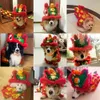 Vêtements de chien de Noël drôles années Costume chinois pour animaux de compagnie Dragon Dance Lion Dog Party Lion Dance Red Festive Lucky Cat Clothes 240228cj