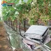 Pellicola da giardino frutteto doppio lato riflettente pacciame permeabile Mylar Patch agricola Sier coperta per la crescita delle piante promozione della frutta rosso