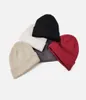 Moda Cappello lavorato a maglia Piccolo Beanie Berretto freddo Uomo Donna Street Travel Cappelli da pesca Casual Autunno Inverno Caldo Sport all'aria aperta4131416