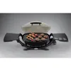 Weber Q2000 سائل البروبان Grillwwhite BBQ Grill Outdoor Camping Oven 240223