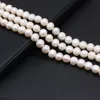 Cuentas de perlas reales de agua dulce naturales, perlas espaciadoras sueltas redondas blancas para fabricación de joyas, accesorios para collar y pulsera con dijes DIY 240220