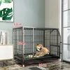 Nosiciele kotów w pomieszczeniu dużej w klatce pies medium psy domowe domowe gospodarstwa domowe willa villa zaopatrzenie w zwierzęta domowe dla zwierząt domowych