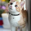 Dog Collars Small Collar Anti-loss Pet Accessory For Cat Girl Outdoor With Bell