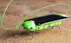 Zabawny owad Solar Grasshopper Cricket Educational Toy Birthday Gift Solar Energy Toys6494675