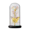 Decoratieve Bloemen Eeuwige Bloem Glazen Cover Roos Gloeiende Goudfolie Kerst Valentijnsdag Cadeau Bruiloft Spullen Feestkamer Decoraties