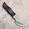 Damaskus Fixat Blade Knife VG10 Damascus Steel Blade Rosewood Handle EDC Knives Läder Mantel