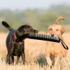 機器の犬の歯研磨トレーニングスティック、ジュートスリーブのおもちゃ、噛む枕、タグティック、ペットトレーニング用品