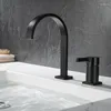 Robinets d'évier de salle de bains, robinet en laiton de bonne qualité, une poignée, deux trous, mitigeur de lavabo de luxe en cuivre noir froid/Chrome