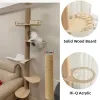 Scratchers Cat Tree من الأرض إلى السقف الخشبي Cat Tower Condo و Sisal Rope Cat Scratfer Post