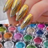 23pcs Chrome Nail Poeder Set Spiegel Wrijven Pigment Goud Metallic Poeder Stof Zomer Glitter Vlokken Gel Polish Decor GLMCB01-24 240301