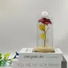 装飾的な花人工花の赤いローズゴールドホイルとロマンチックな贈り物のためのガラスドームのLEDライトバレンタインデー