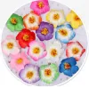 100pcs 9cm Foam Frangipane Frangipani Flower Sinensis Head Head Hibiscus tropical 16 Colors 2024303