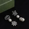 Zilveren strass ketting thuis niche merk designer oorbellen voor vrouwen mode cadeau designer sieraden gratis verzendkosten.