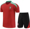 Männer Kinder Portugal Trainingsanzug Trikots Gemischte Nationalmannschaft Fußballtrainingsanzug 22 23 Portugieser Shorts Ärmel Trainingsanzüge Hemd Kits Survêtement Sportbekleidung