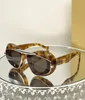 Retro Sunglasses Cat Eye Design Glasses Colorful Punk Style Unisex Fashion Glasses