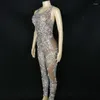 Abbigliamento da palcoscenico Tuta elasticizzata senza maniche stampata in pizzo con strass argento Compleanno Prom Festeggia il costume da body per feste da club bar